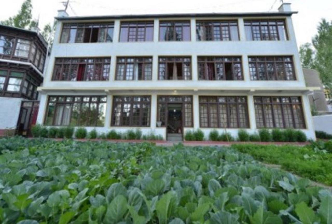 Hotel Asia Leh Kültér fotó